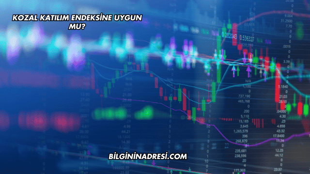 Kozal Katılım Endeksine Uygun mu?