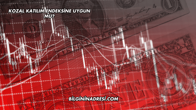 Kozal Katılım Endeksine Uygun mu?