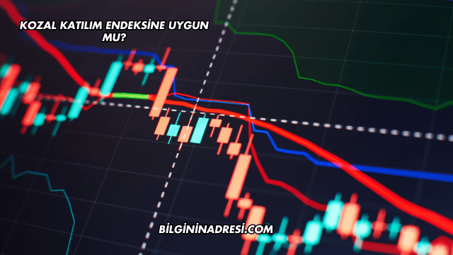 Kozal Katılım Endeksine Uygun mu?