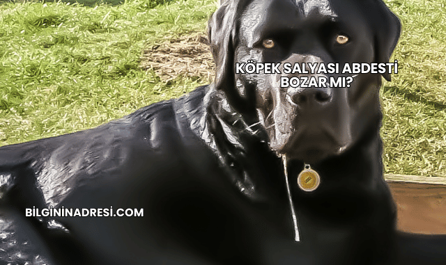 Köpek Salyası Abdesti Bozar mı?