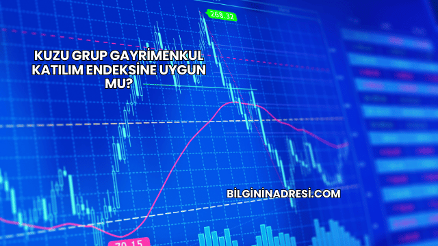 Kuzu Grup Gayrimenkul Katılım Endeksine Uygun mu?