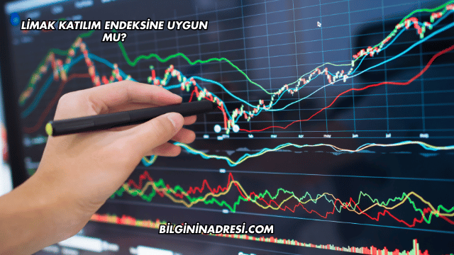 Limak Katılım Endeksine Uygun mu?