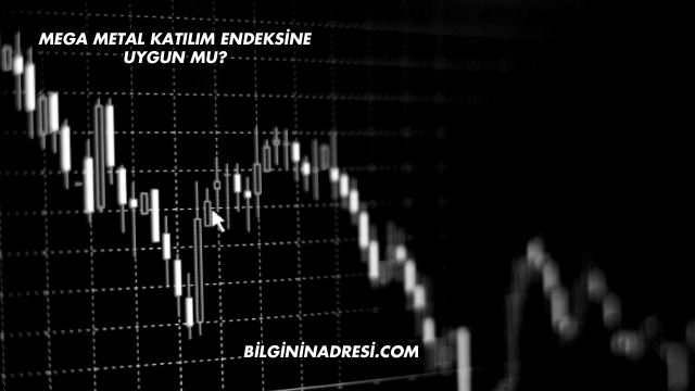Mega Metal Katılım Endeksine Uygun mu?