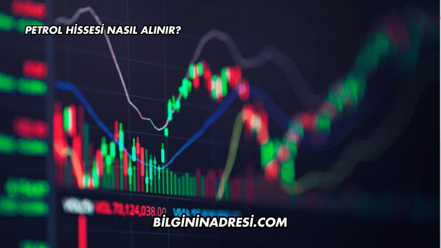 Petrol Hissesi Nasıl Alınır?