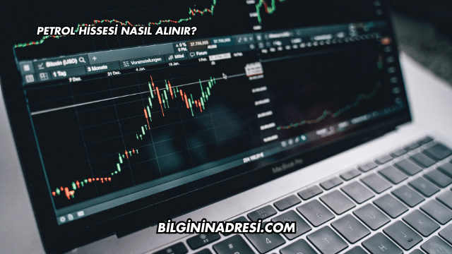 Petrol Hissesi Nasıl Alınır?