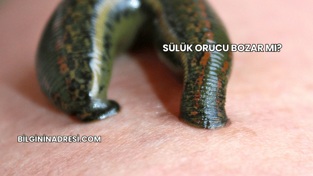 Sülük Orucu Bozar mı?