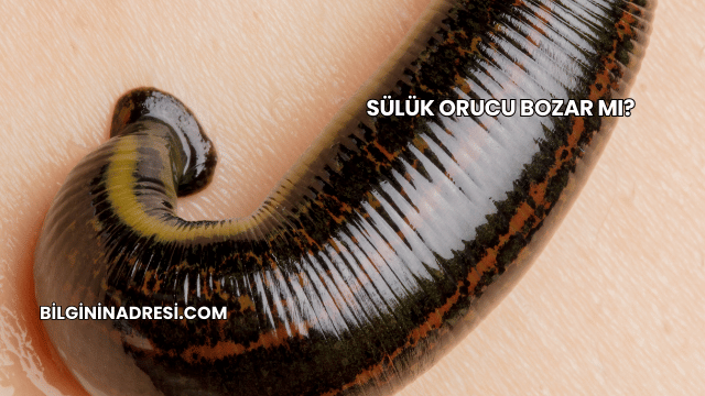 Sülük Orucu Bozar mı?