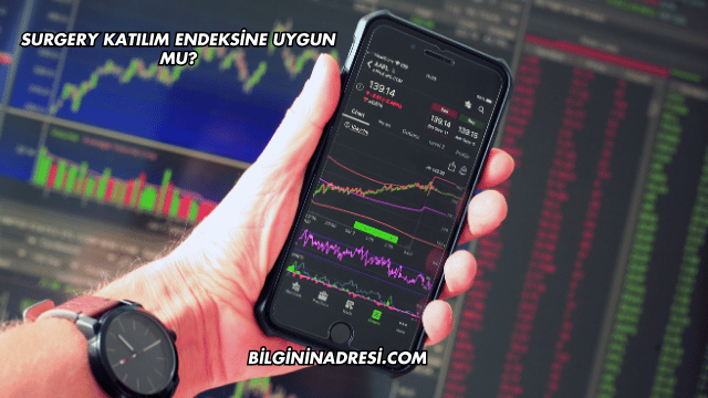 Surgery Katılım Endeksine Uygun mu?