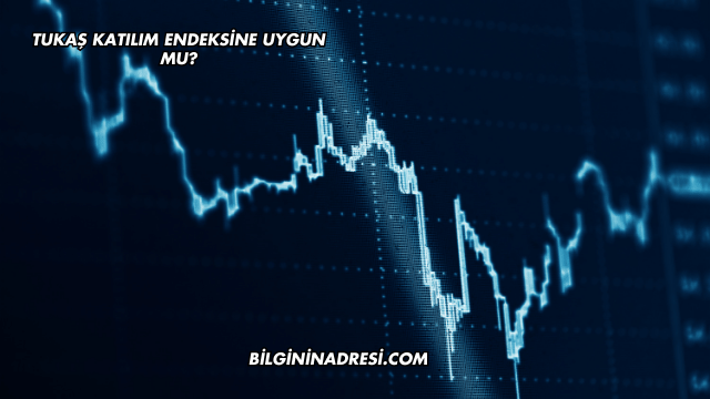 Tukaş Katılım Endeksine Uygun mu?