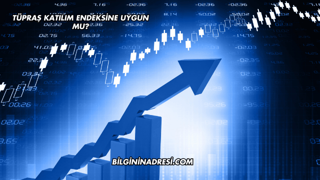 Tüpraş Katılım Endeksine Uygun mu?