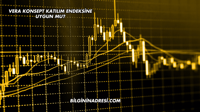 Vera Konsept Katılım Endeksine Uygun mu?