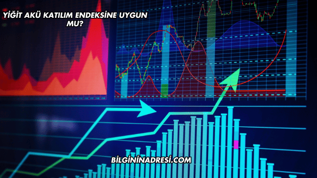 Yiğit Akü Katılım Endeksine Uygun mu?