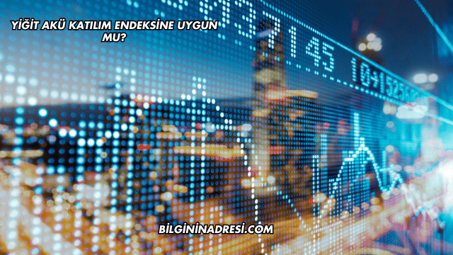 Yiğit Akü Katılım Endeksine Uygun mu?