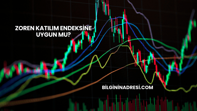 Zoren Katılım Endeksine Uygun mu?