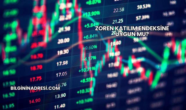 Zoren Katılım Endeksine Uygun mu?