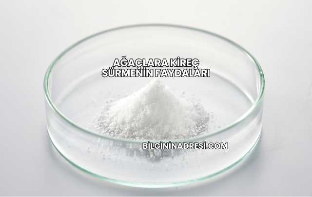 Ağaçlara Kireç Sürmenin Faydaları