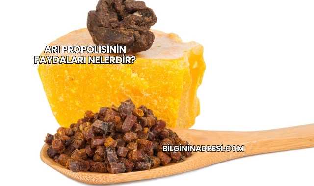 Arı Propolisinin Faydaları Nelerdir?