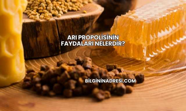 Arı Propolisinin Faydaları Nelerdir?