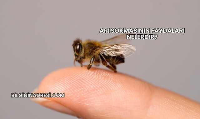 Arı Sokmasının Faydaları Nelerdir?