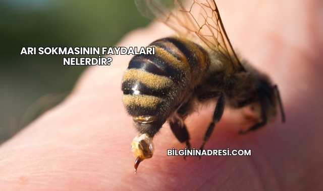 Arı Sokmasının Faydaları Nelerdir?