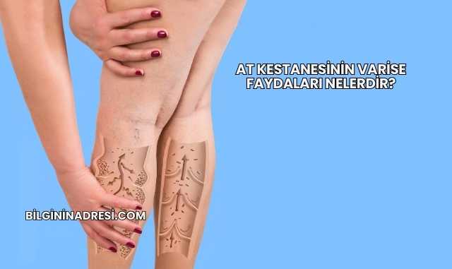 At Kestanesinin Varise Faydaları Nelerdir?