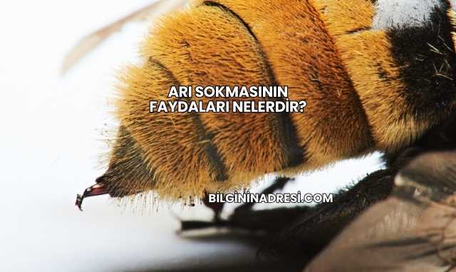 Arı Sokmasının Faydaları Nelerdir?