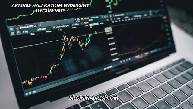 Artemis Halı Katılım Endeksine Uygun mu?