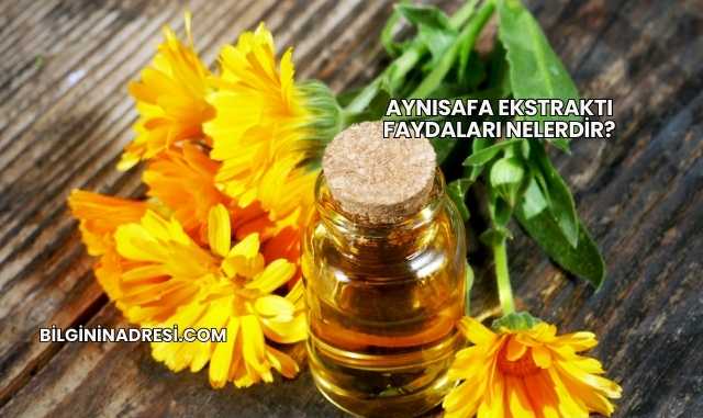 Aynısafa Ekstraktı Faydaları Nelerdir?