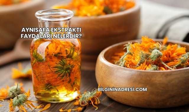 Aynısafa Ekstraktı Faydaları Nelerdir?