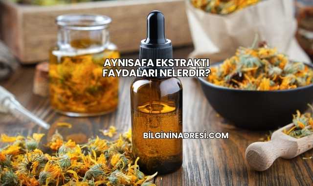 Aynısafa Ekstraktı Faydaları Nelerdir?