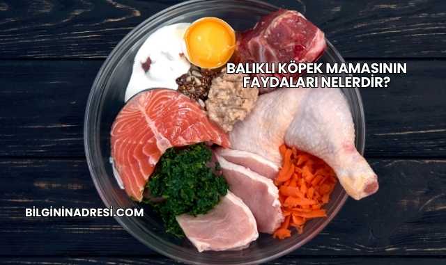 Balıklı Köpek Mamasının Faydaları Nelerdir?