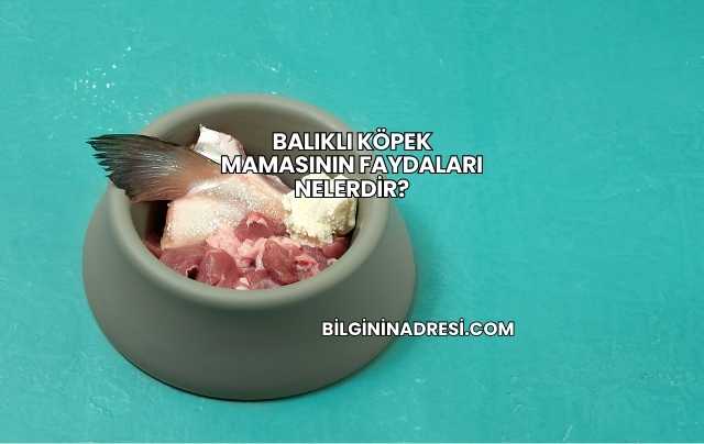 Balıklı Köpek Mamasının Faydaları Nelerdir?