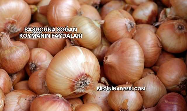 Başucuna Soğan Koymanın Faydaları