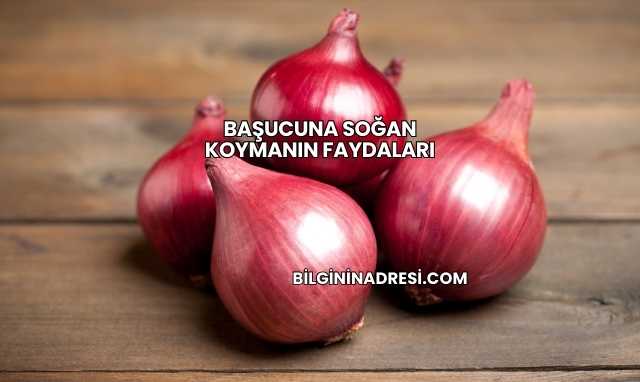 Başucuna Soğan Koymanın Faydaları