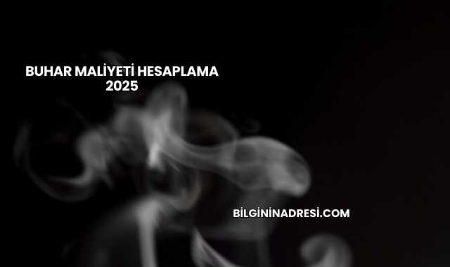 Buhar Maliyeti Hesaplama 2025