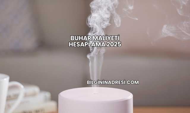 Buhar Maliyeti Hesaplama 2025