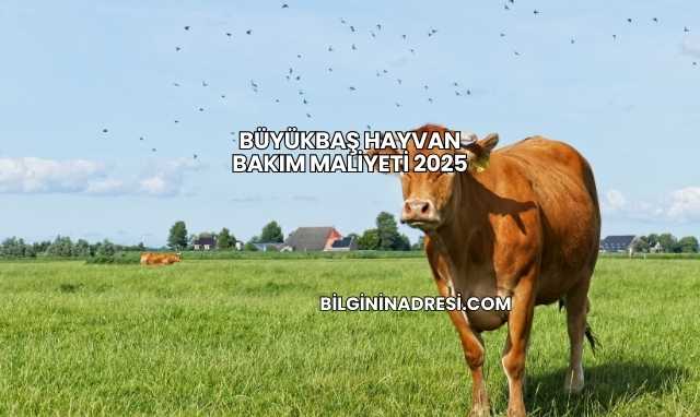 Büyükbaş Hayvan Bakım Maliyeti 2025