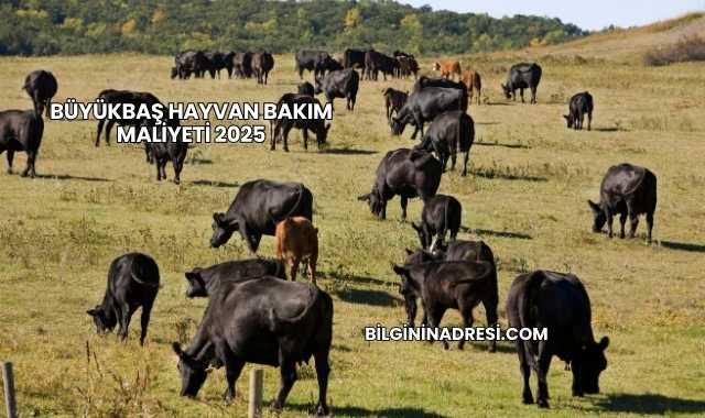 Büyükbaş Hayvan Bakım Maliyeti 2025