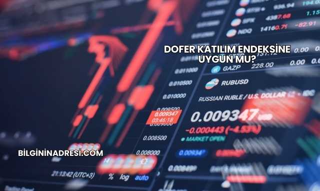 Dofer Katılım Endeksine Uygun mu?