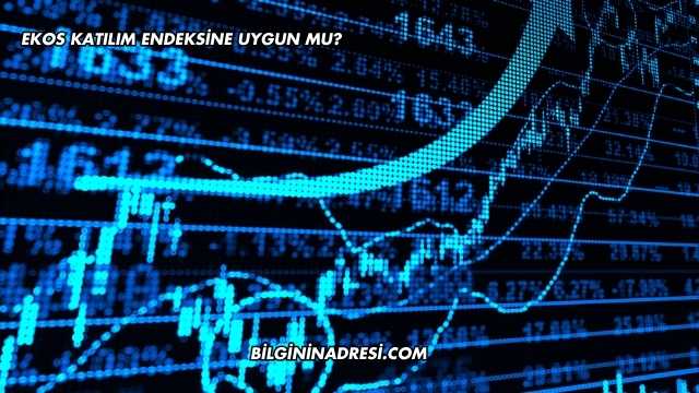 Ekos Katılım Endeksine Uygun mu?