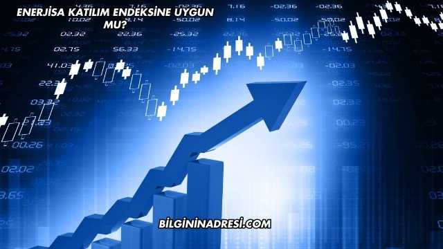 Enerjisa Katılım Endeksine Uygun mu?