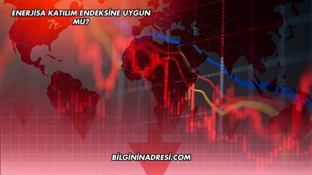 Enerjisa Katılım Endeksine Uygun mu?