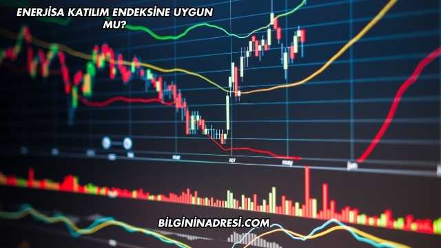 Enerjisa Katılım Endeksine Uygun mu?