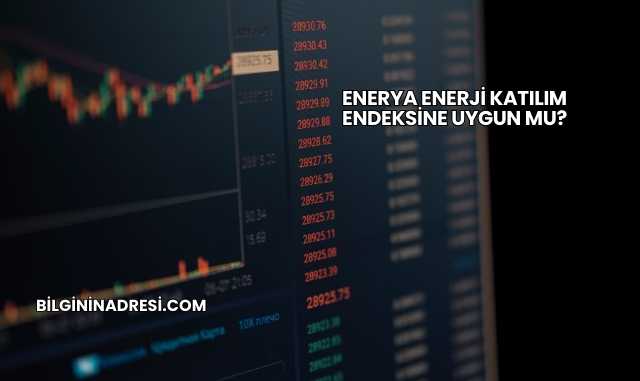 Enerya Enerji Katılım Endeksine Uygun mu?