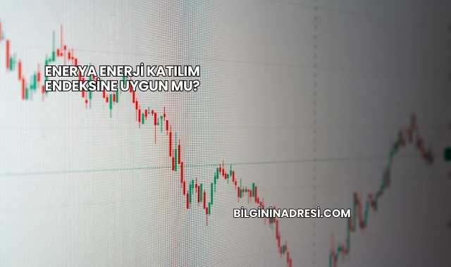 Enerya Enerji Katılım Endeksine Uygun mu?