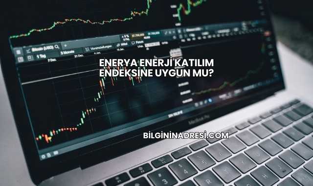 Enerya Enerji Katılım Endeksine Uygun mu?