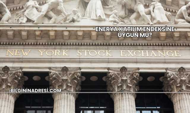 Enerya Katılım Endeksine Uygun mu?