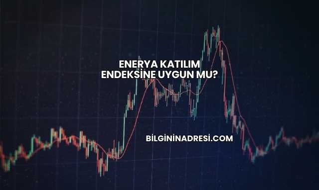 Enerya Katılım Endeksine Uygun mu?