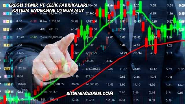 Ereğli Demir ve Çelik Fabrikaları Katılım Endeksine Uygun mu?