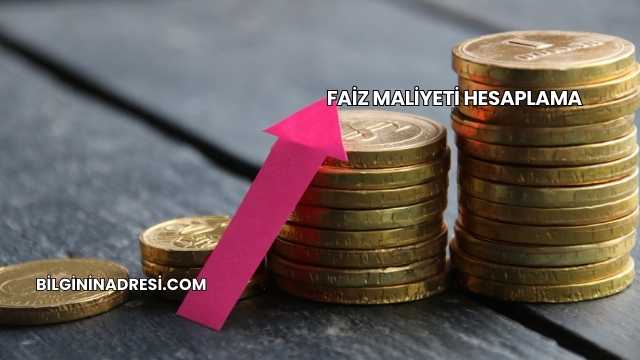 Faiz Maliyeti Hesaplama